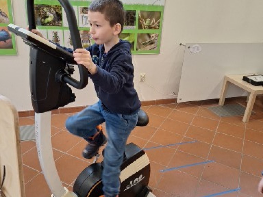 Městské muzeum Polička a jeho výstavy 12