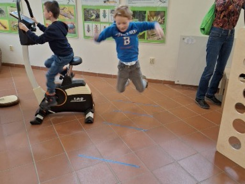 Městské muzeum Polička a jeho výstavy 13