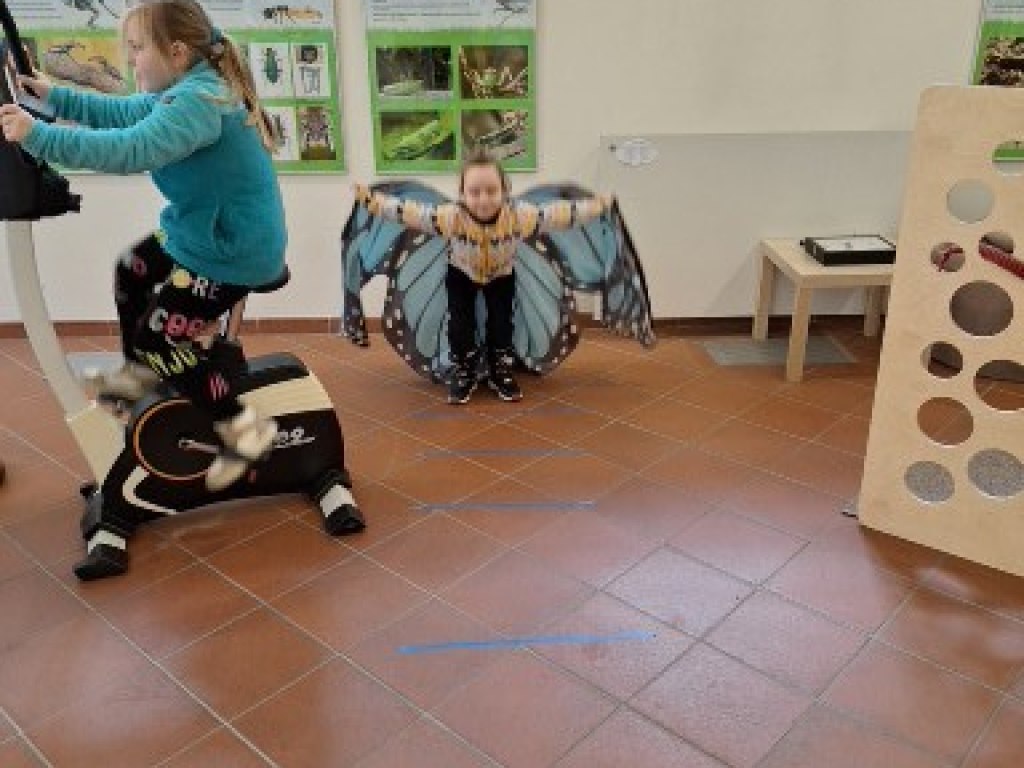 Městské muzeum Polička a jeho výstavy 24