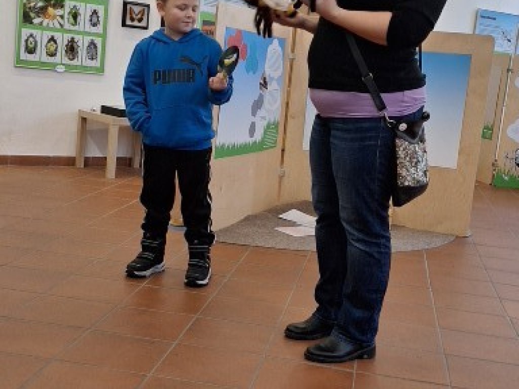 Městské muzeum polička a jeho výstavy 4