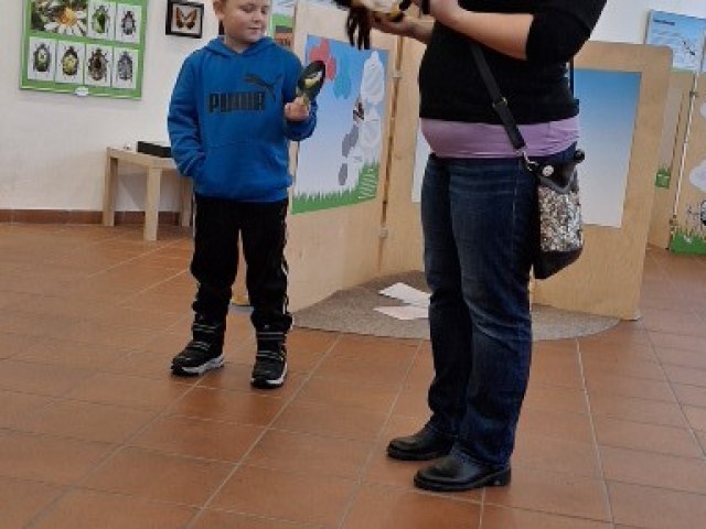 Městské muzeum Polička a jeho výstavy 4